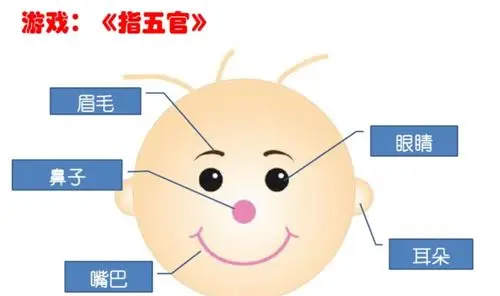 教师说:鼻子,鼻子,嘴巴.请幼儿依次指:嘴巴,眼睛,耳朵,鼻子.