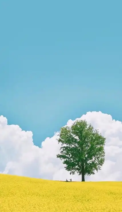 全网很火的温柔高清壁纸 抖音热门的壁纸合集-腾牛个性网