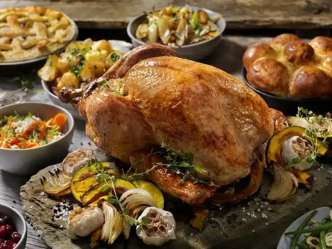 everything you ever wanted to know about turkey meat