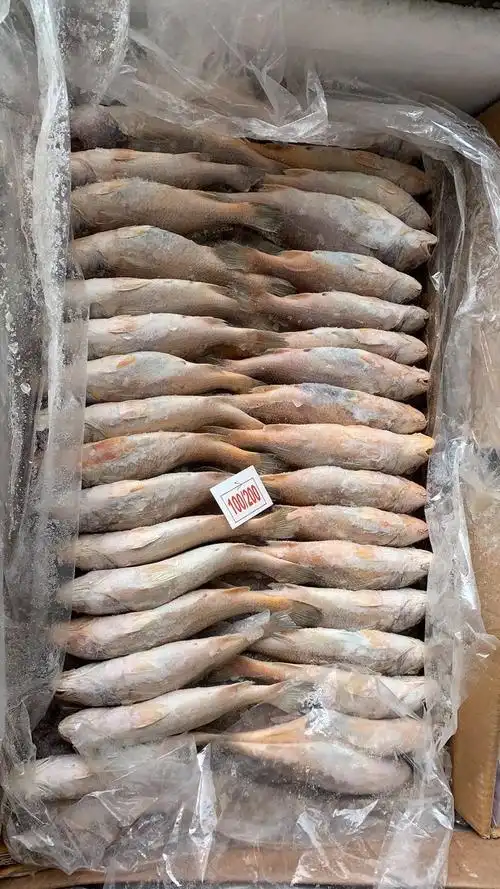 江城明珠小区冻货预定