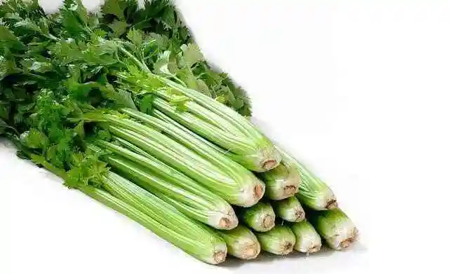 小药芹0.78元/斤