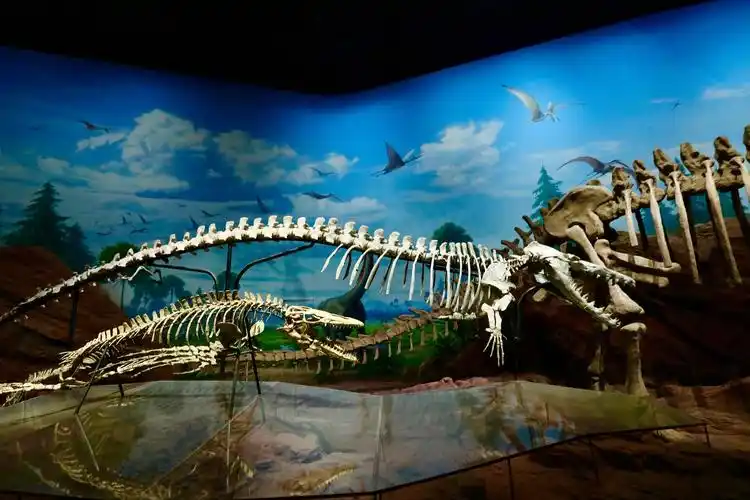 澄江化石博物馆