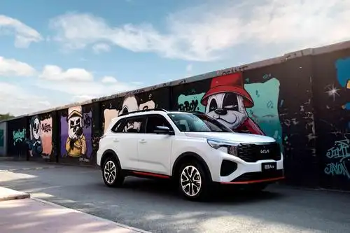 与此同时,造车新势力的飞速发展,让很多人都认为智能化仅仅属于电动车