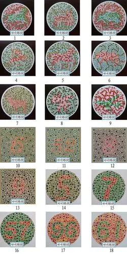 红绿全色盲色弱矫正眼镜体检看色觉检查图谱学考驾照年审考试专用