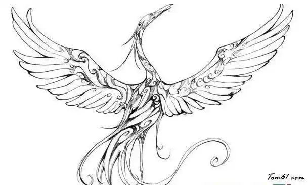 五大神兽简笔画 五大神兽简笔画白泽