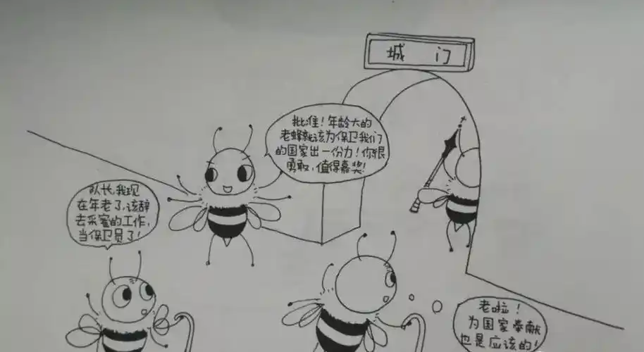 它们分工明确各司其职