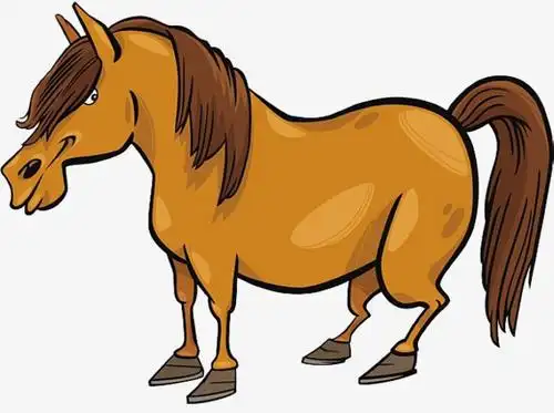 彩色的简笔画马 简笔画图片大全-蒲城教育文学网