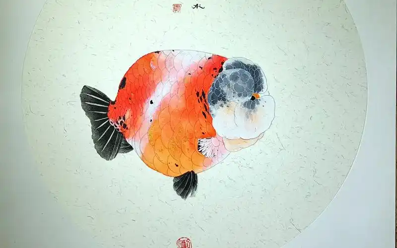 兰寿金鱼主题手绘工笔画