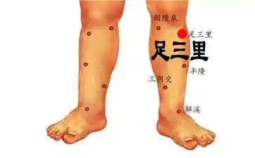 足三里酸胀痛是什么原因 足三里酸痛治疗方法