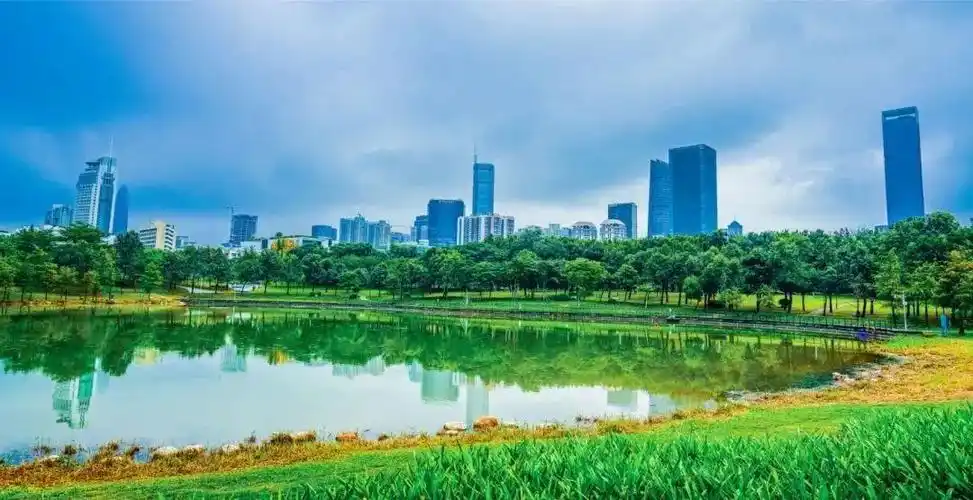 深圳中心公园拍了拍你你的建议很重要