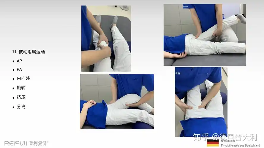 maitland03麦特兰德髋关节骶髂关节评估篇