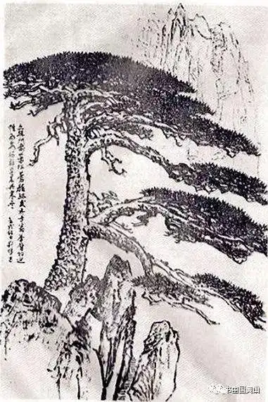 黄山区籍中国松王刘晖大师和他的黄山松