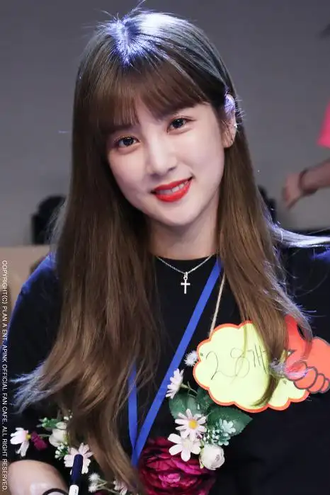 apink专辑签售活动照片公开六人组是人间尤物啊