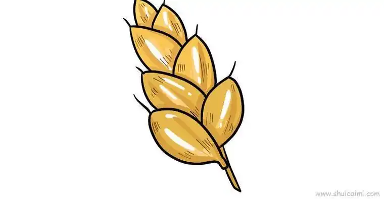 粮食小麦简笔画麦子简笔画怎么画成熟小麦的简笔画小麦简笔画画法步骤