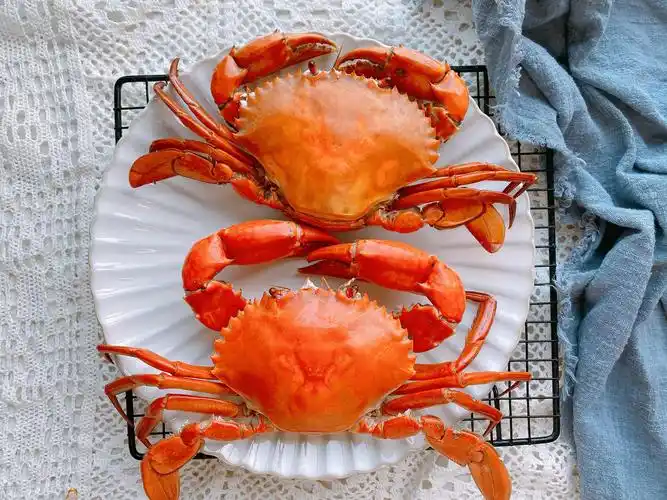 青蟹怎么做好吃又简单(清蒸青蟹的做法窍门)-万思特网