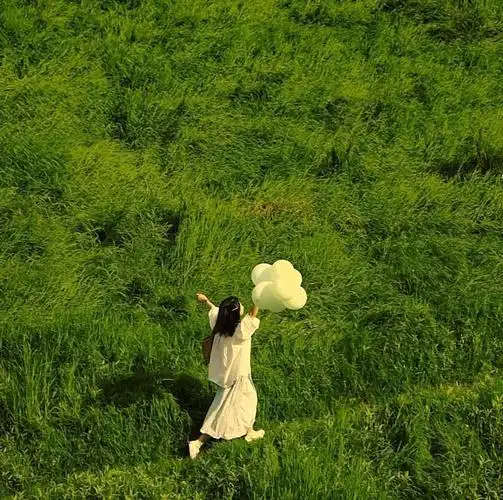 有没有看上去很自由的头像? - 知乎