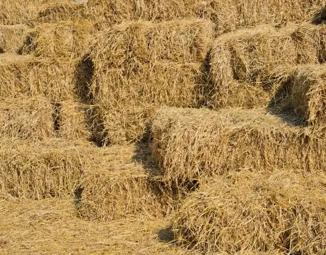 堆在一起的圆形干草捆