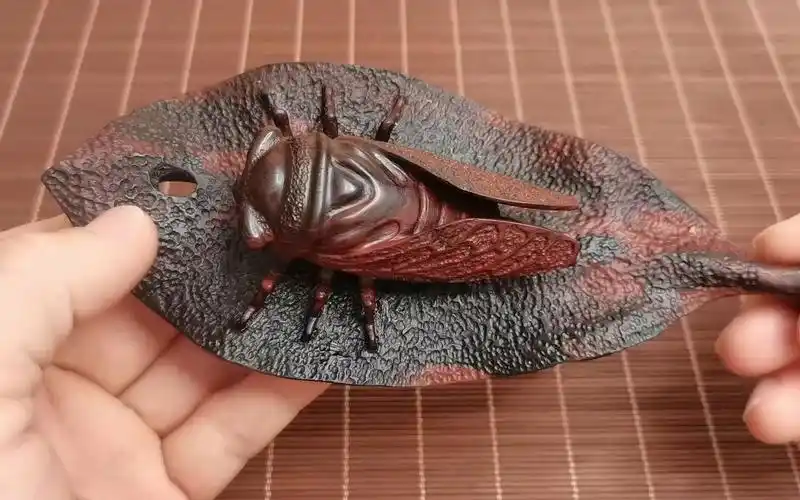 一块破木头雕成我买不起的样子你是怎么想的木雕蝉