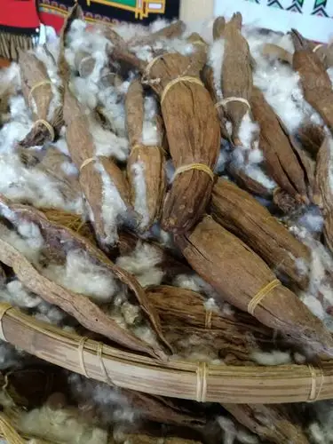 曾经过着刀耕火种生活的黎族人,不会种棉,就用天然的木棉纤维纺纱织布