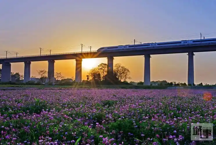 高铁奔驰在空中,绿色生态在地面摇曳     《奔驰在
