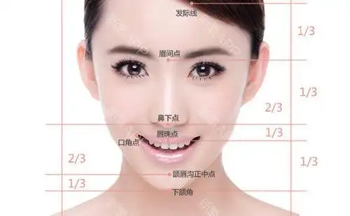 什么样的脸蛋最漂亮世界各国均认为"瓜子脸,鹅蛋脸"是最_圈子-新氧