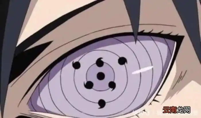 文章插图轮回眼被称为三大瞳术中最崇高的眼睛,是写轮眼的最终进化版
