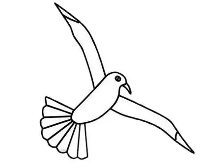 海鸥简笔画简单画法海鸥简笔画步骤图解教程