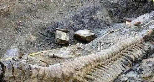 06年真龙吃人事件神秘古洞捕获长15米真龙照片曝光