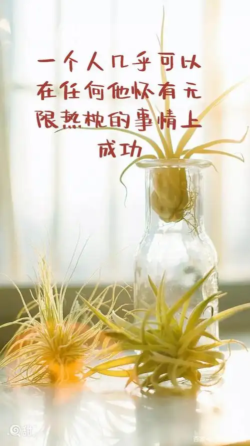 霸气励志图文分享