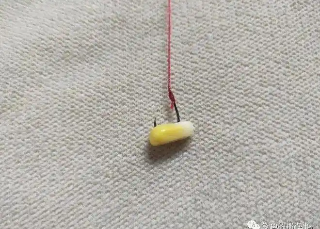 图解玉米粒的正确挂钩方法超详细再不重视夏天就过去了