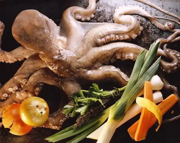 1分钟教你分清章鱼,鱿鱼,墨鱼, 再也不用担心买错