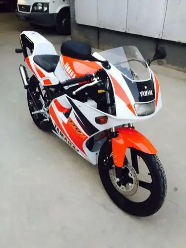 供应雅马哈tzr50经典小趴赛