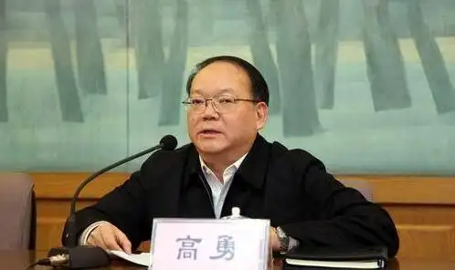 高勇:网络对纺织产业影响应当引起重视