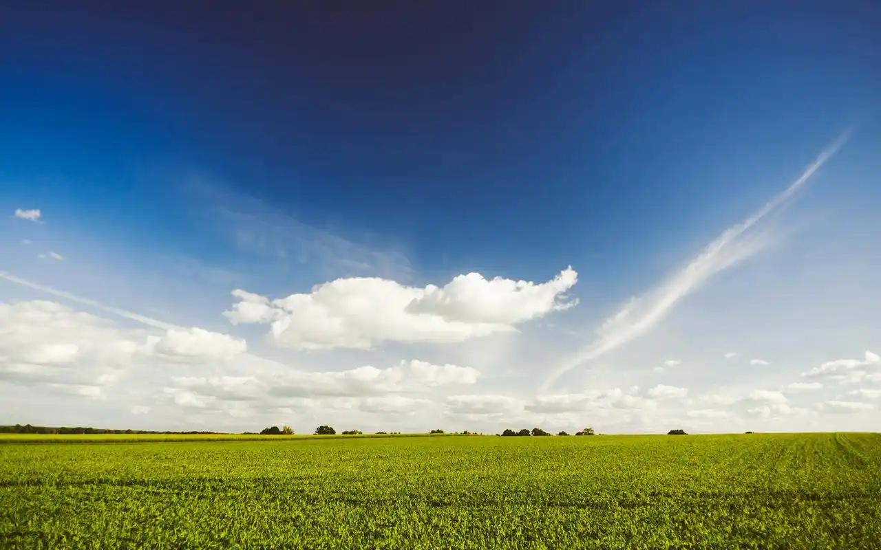绿色护眼草地屏保高清电脑桌面主题壁纸下载