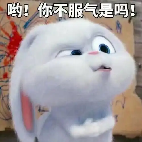 哟你不服气是吗爱宠大机密可爱的小白兔字6767676767爱宠大