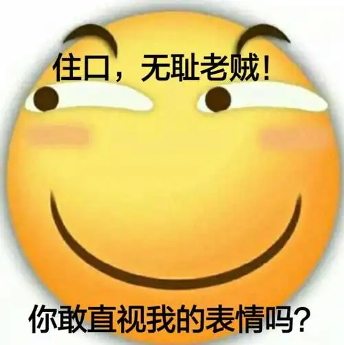 住口,无耻老贼!你敢直视我的表情吗?