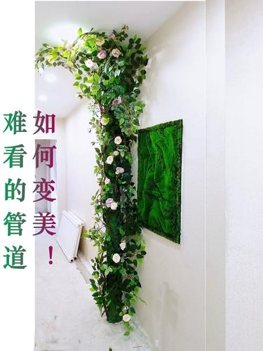 下水管消防管道遮挡装饰美化阳台改造遮丑椰子树包管