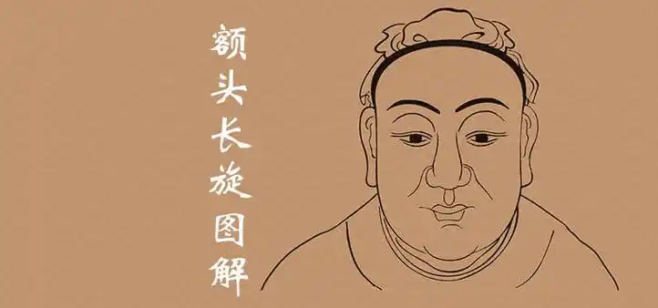 额头长旋的位置图解详细介绍