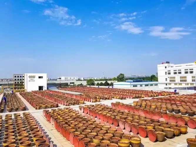 鹃城豆瓣徐良:未来的鹃城豆瓣会是一个时尚的企业|豆瓣|工业|旅游