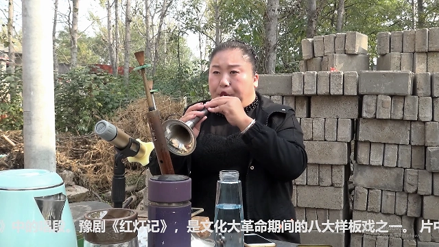 唢呐姐姐演奏豫剧红灯记听罢奶奶说红灯就像真人在唱