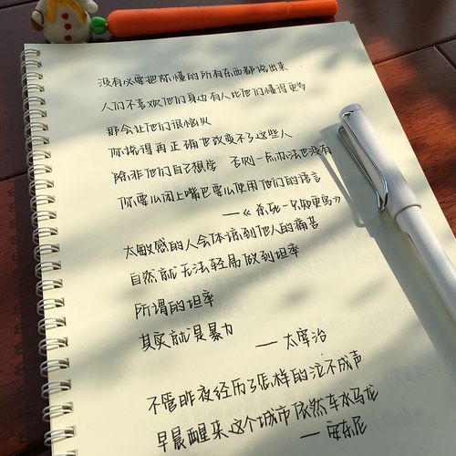 字体网红练字字帖奶酪楷书女生漂亮神仙初学者练字帖