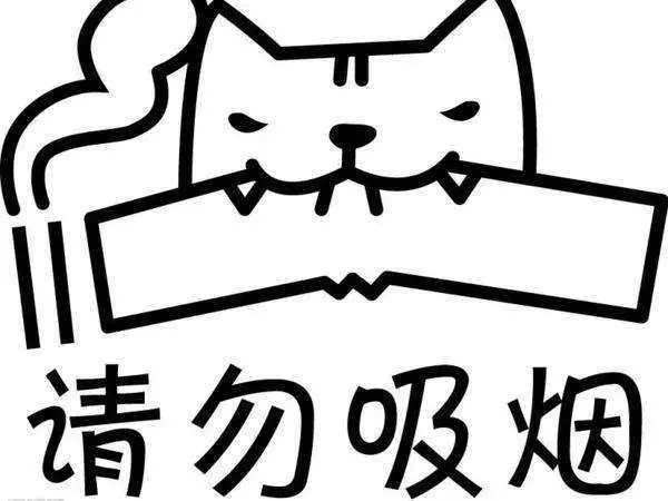 531|世界无烟日,请为身边人戒烟吧!