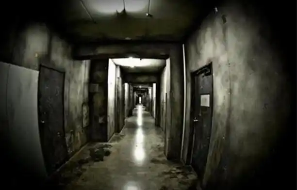 在日本最恐怖的房子, 游客坚持十分钟, 并获得吉尼斯认证