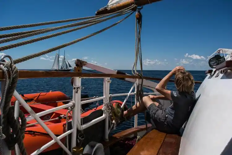 blue clipper traineeship 2