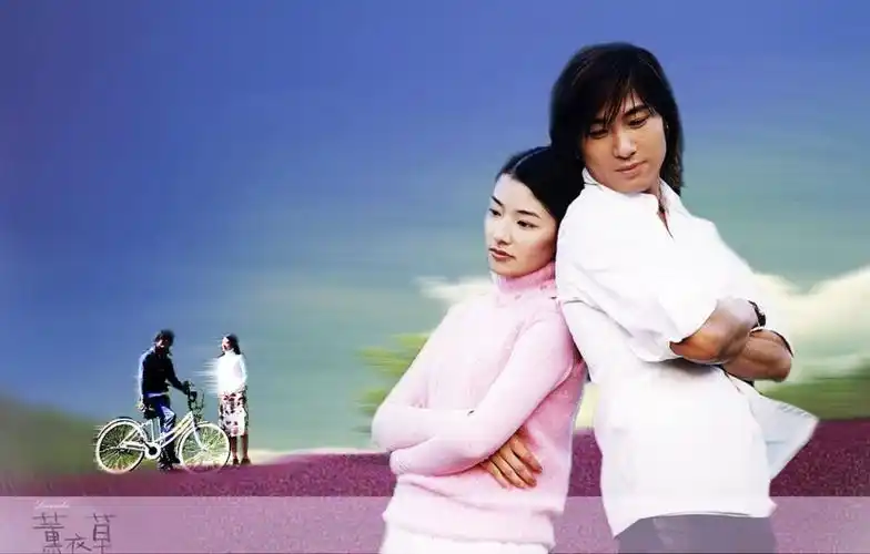 电视剧《薰衣草》剧照