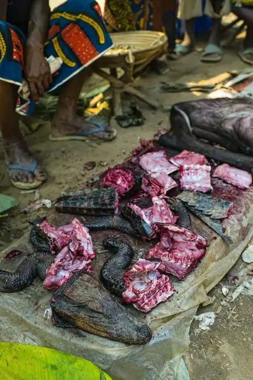 我去了趟非洲菜市场,发现除了人肉啥都卖|鱼干|刚果|虫子|毛虫|猴子肉