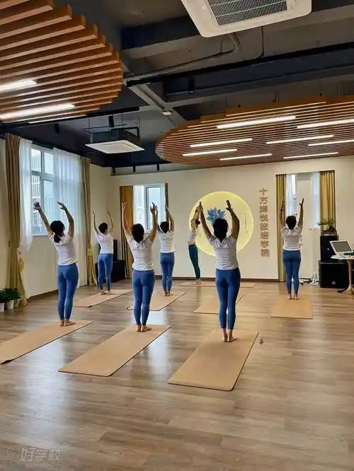 杭州瑜伽教练培训班