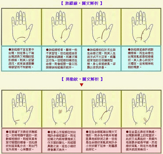 放纵线和异动纹_手相_悟真网