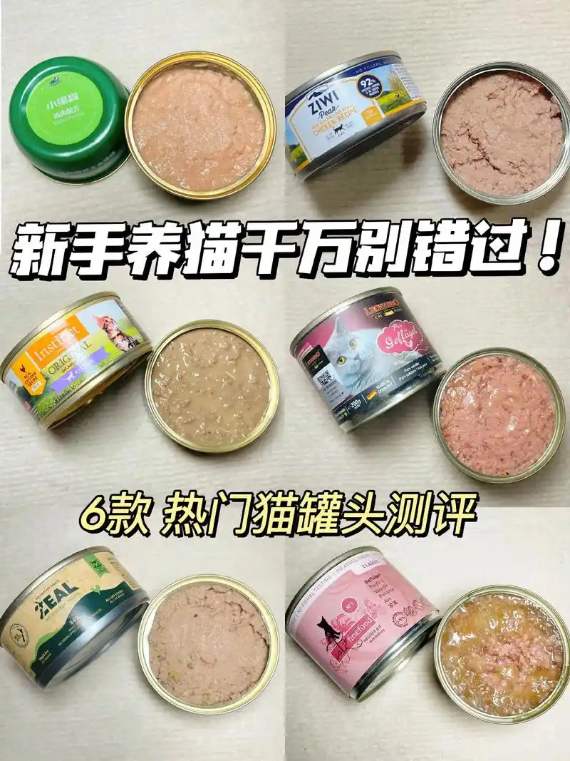 6款热门猫罐头测评.新手猫爸猫妈不知道怎 - 抖音