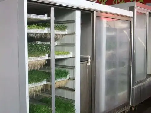 江西催芽苗机 蔬菜豆芽催芽机 商用全自动芽苗菜机豌豆苗机